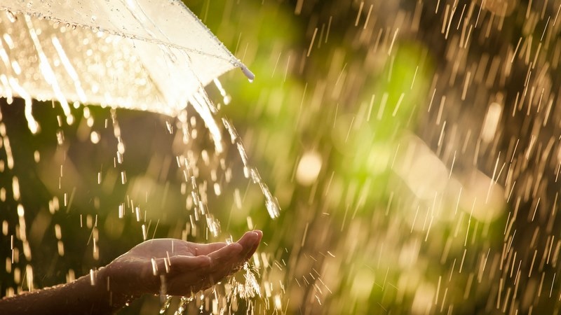 Днес увеличението на облачността от североизток ще обхване цялата страна